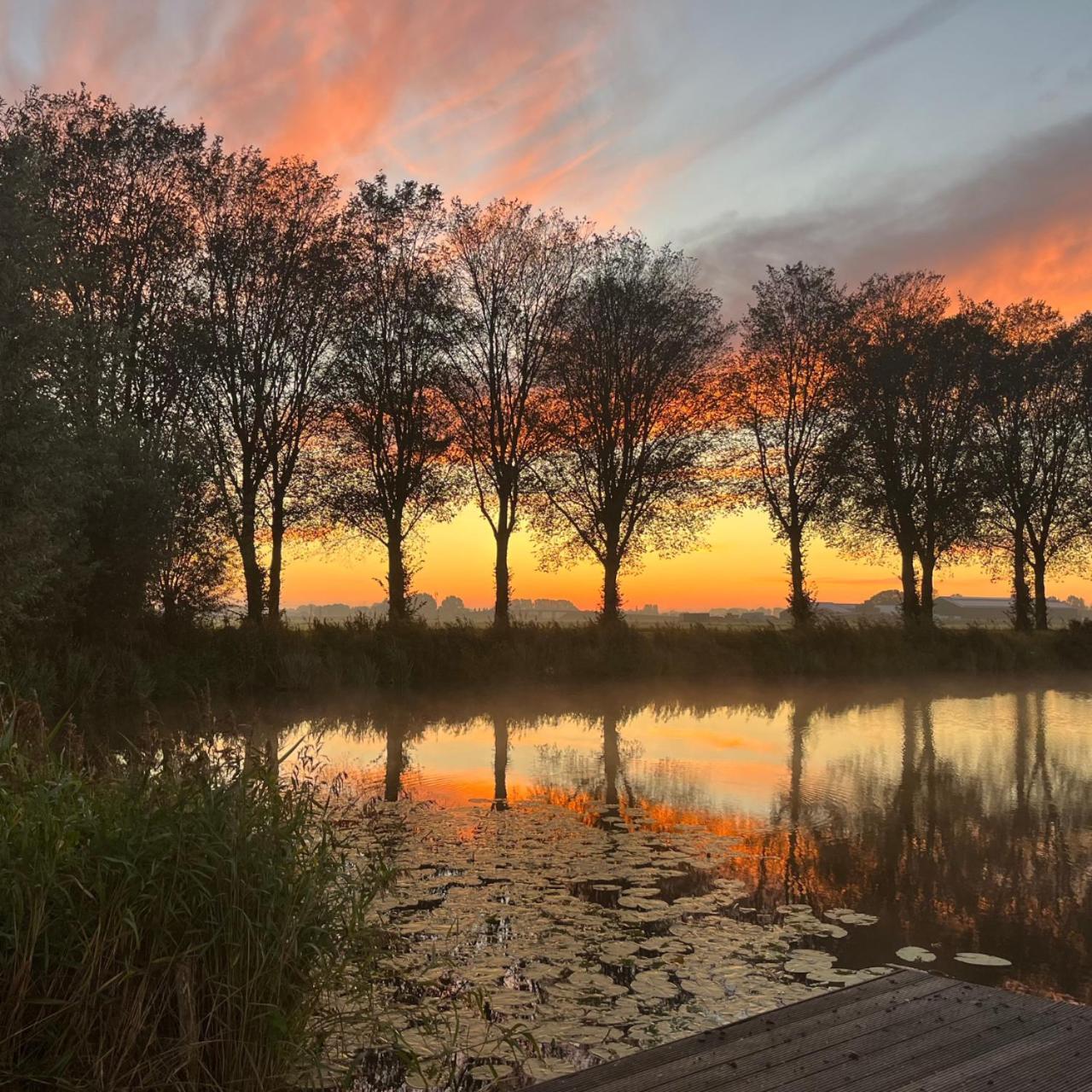 Bed and Breakfast Aan De Hoge Weg Kamperveen Exteriér fotografie
