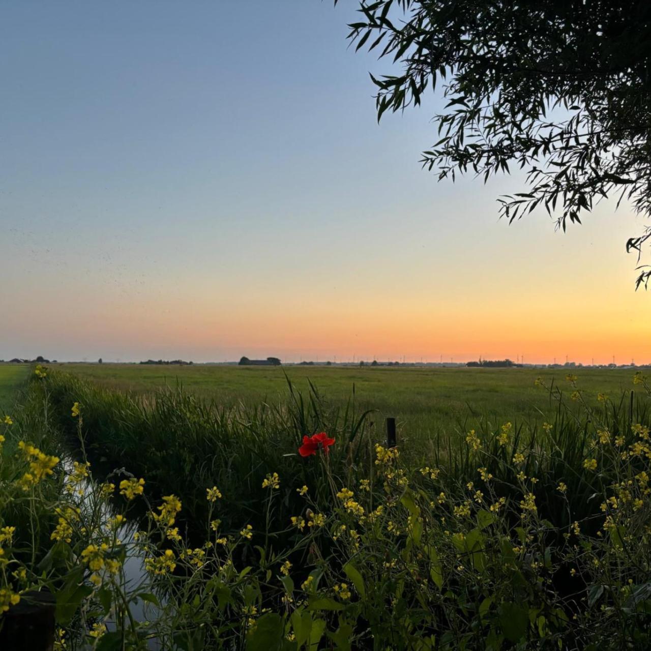 Bed and Breakfast Aan De Hoge Weg Kamperveen Exteriér fotografie
