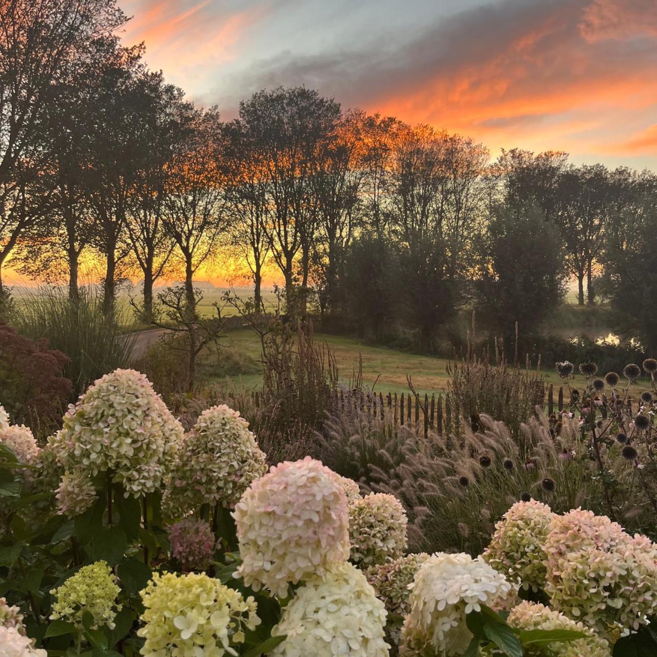 Bed and Breakfast Aan De Hoge Weg Kamperveen Exteriér fotografie